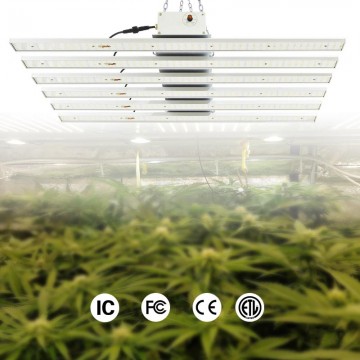 大麻LED植物生长灯