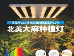 用于大麻的 LED 植物灯是正确的选择吗？