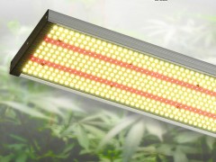 LED植物补光灯原理及应用前景