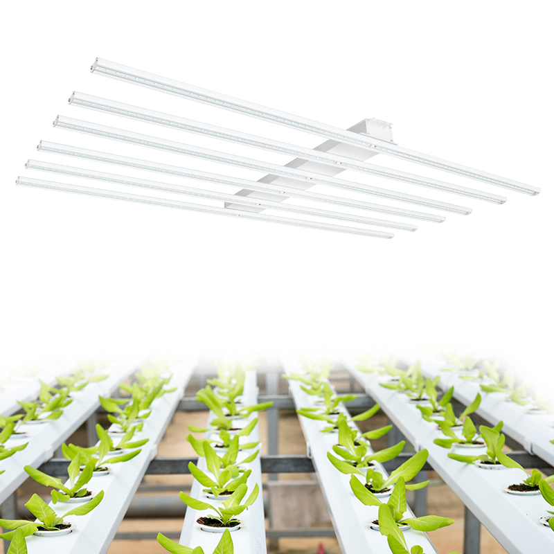 组培育苗led植物补光灯