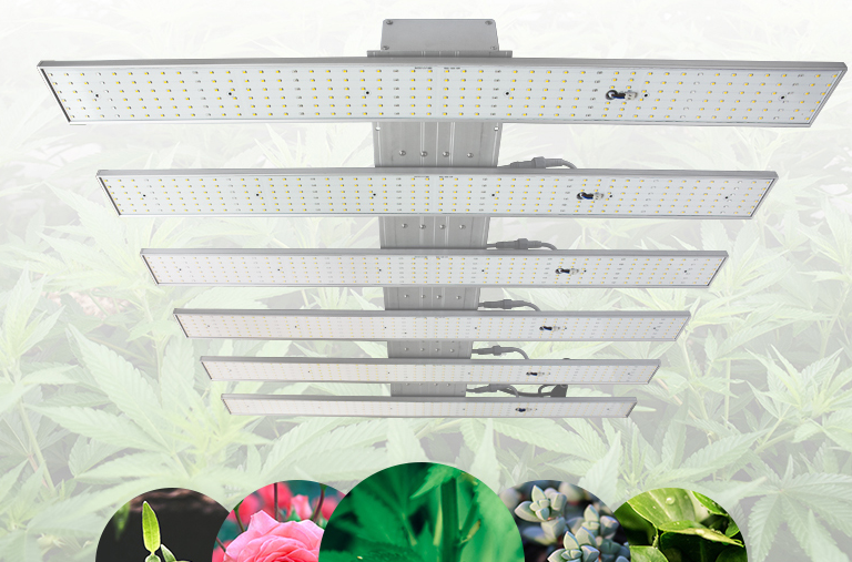 温室大棚植物照明LED生长灯