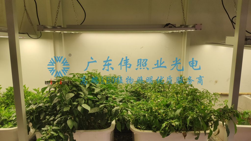 植物生长补光设备