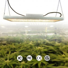 LED植物灯 温室种植灯