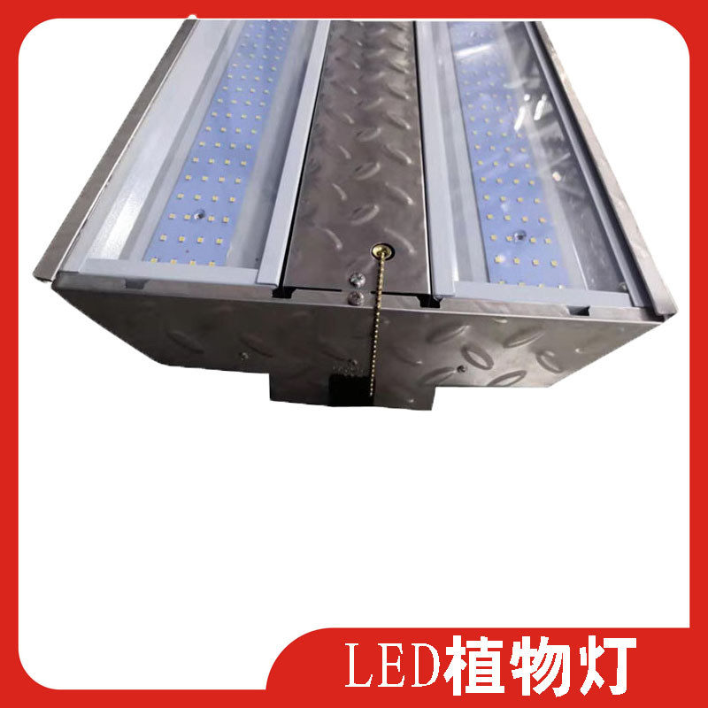 T型大功率植物灯200W