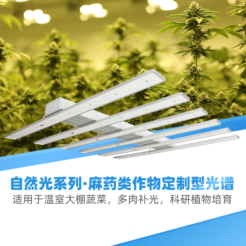 600W植物生长灯全光谱 跨境专选