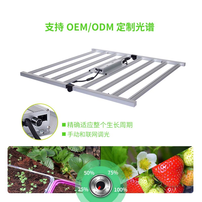 药用大麻植物生长灯