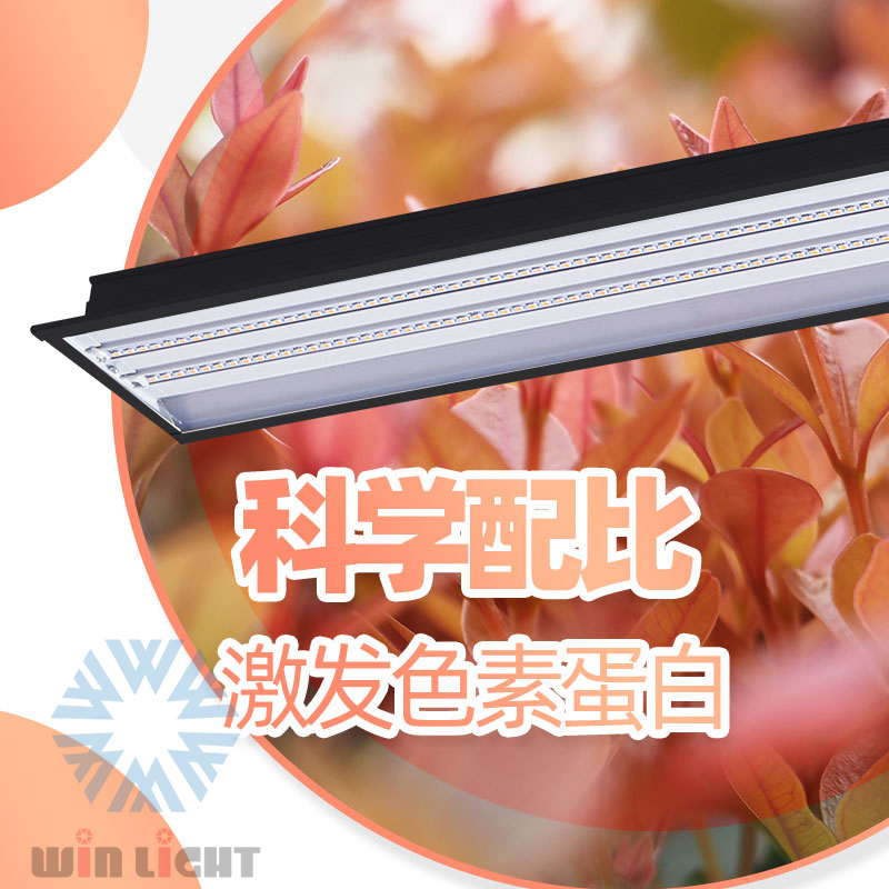 组培育苗定制光谱植物生长灯