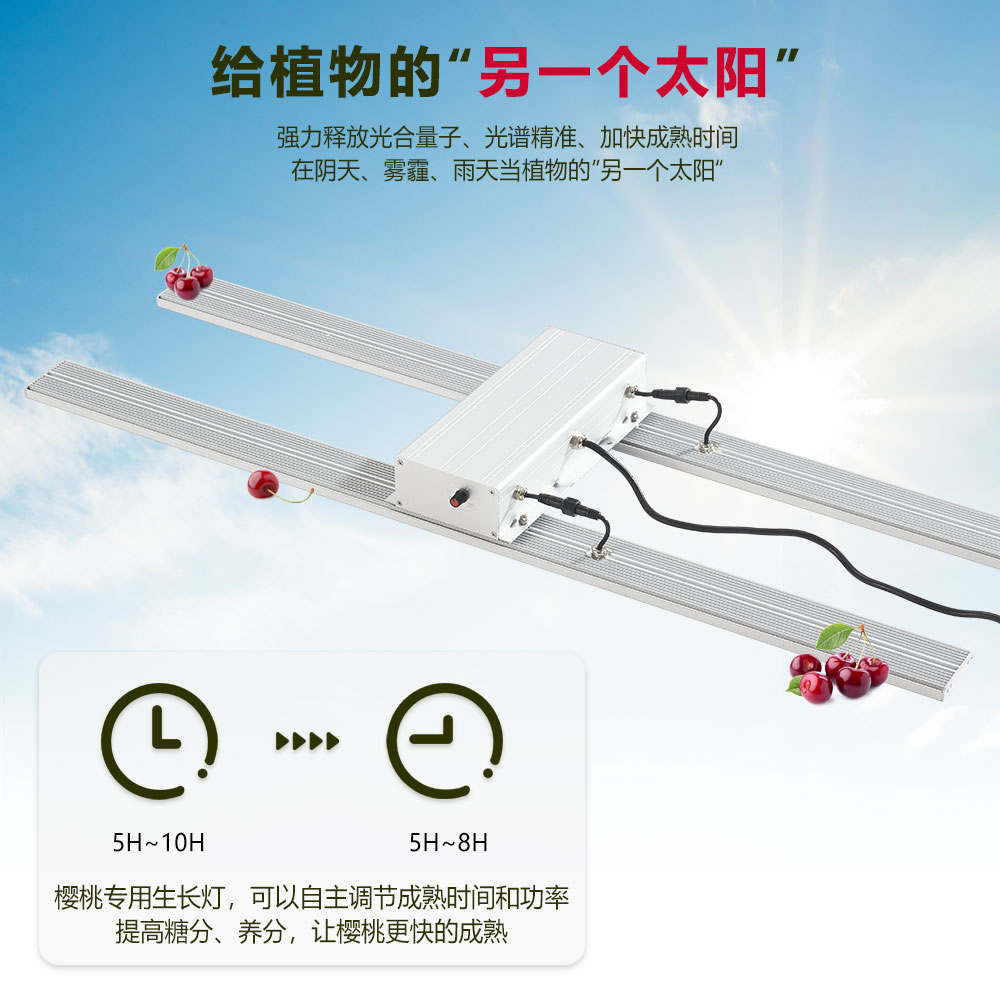 100W樱桃生长适用植物生长灯