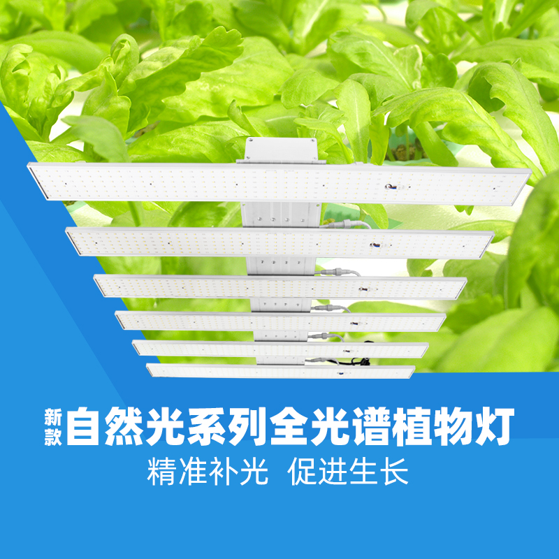自然光系列600W大棚种植照明灯